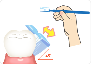 歯ブラシの持ち方・動かし方の指導